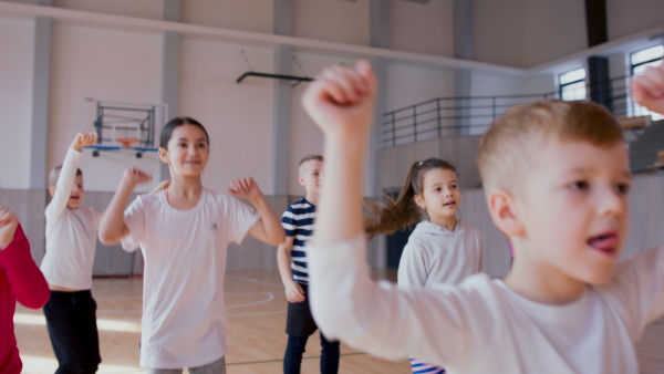 A group of elementary students exercising during class at school gym.