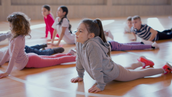 A group of elementary students exercising during class at school gym.