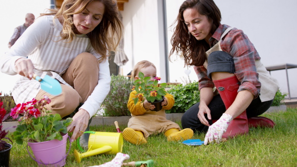 A happy multigeneration family outdoors planting flowers in garden at home, gardening concept.