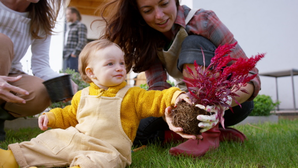 A happy multigeneration family outdoors planting flowers in garden at home, gardening concept.