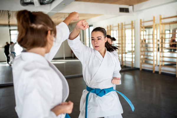 Two young women practising karate indoors in gym.