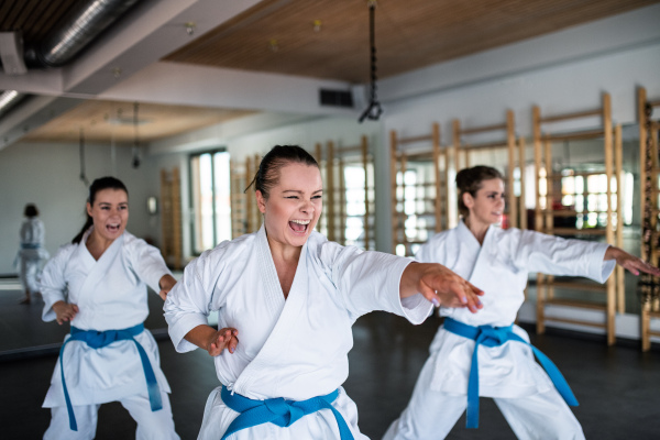 A group of young women practising karate indoors in gym.