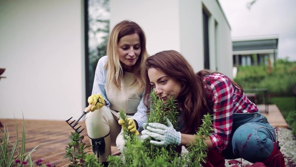 A portrait of mother with adult daughter on patio outdoors, gardening. Slow motion.