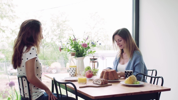 A happy mother with adult daughter sitting at the table indoors, having breakfast.