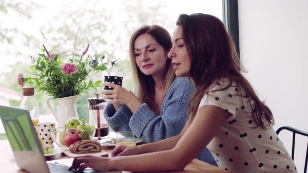 A mother with adult daughter sitting at the table indoors, using laptop computer.