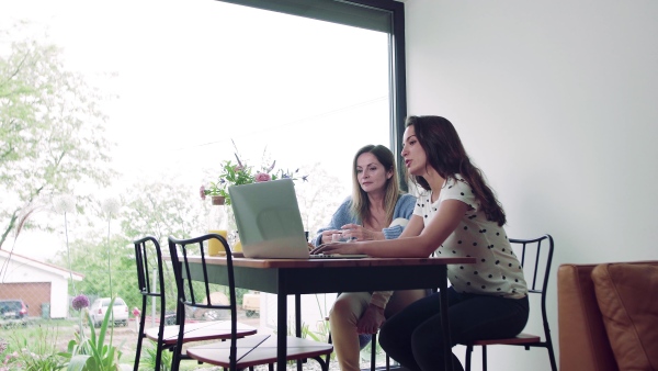 A mother with adult daughter sitting at the table indoors, using laptop computer.