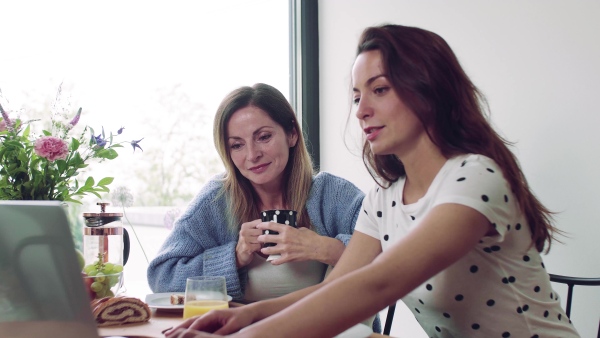 A mother with adult daughter sitting at the table indoors, using laptop computer.