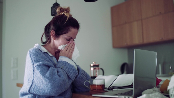 A sick mature woman with laptop sitting indoors, drinking tea when working in home office.