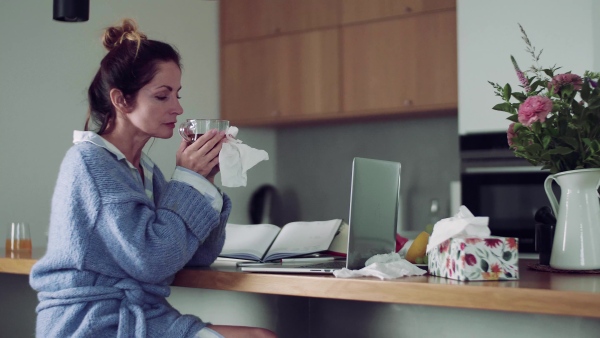 A sick mature woman with laptop sitting indoors, drinking tea when working in home office.