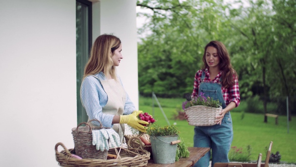 A portrait of mother with adult daughter standing on patio outdoors, gardening.