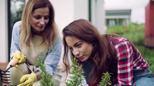 A portrait of mother with adult daughter on patio outdoors, gardening.