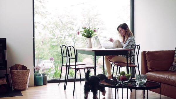 A confident mature woman sitting at the table, working with laptop in home office. Slow motion.