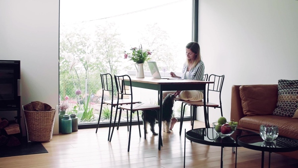 A confident mature woman sitting at the table, working with laptop in home office. Slow motion.