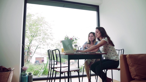 A mother with adult daughter sitting at the table indoors, using laptop computer. Slow motion.