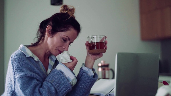 A sick mature woman with laptop sitting indoors, drinking tea when working in home office. Slow motion.