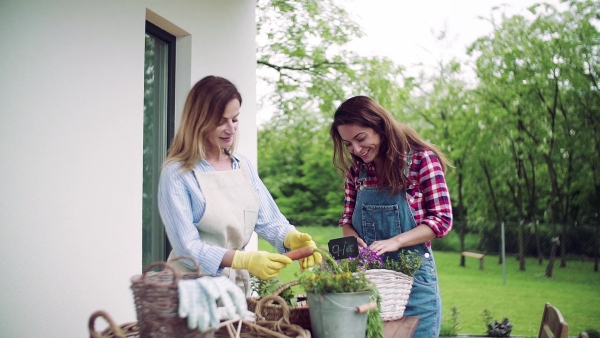 A portrait of mother with adult daughter standing on patio outdoors, gardening. Slow motion.