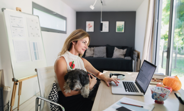 Front view of mature woman with pet dog working indoors in home office in container house in backyard.