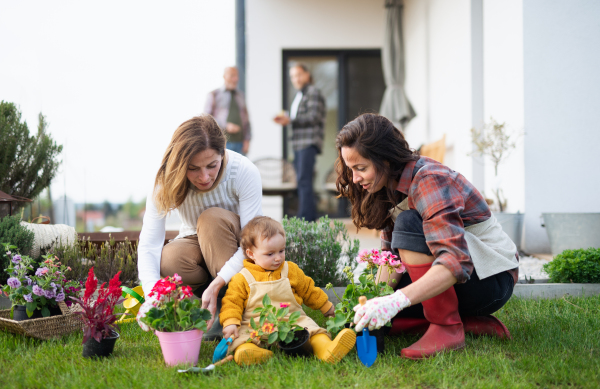 A happy multigeneration family outdoors planting flowers in garden at home, gardening concept.