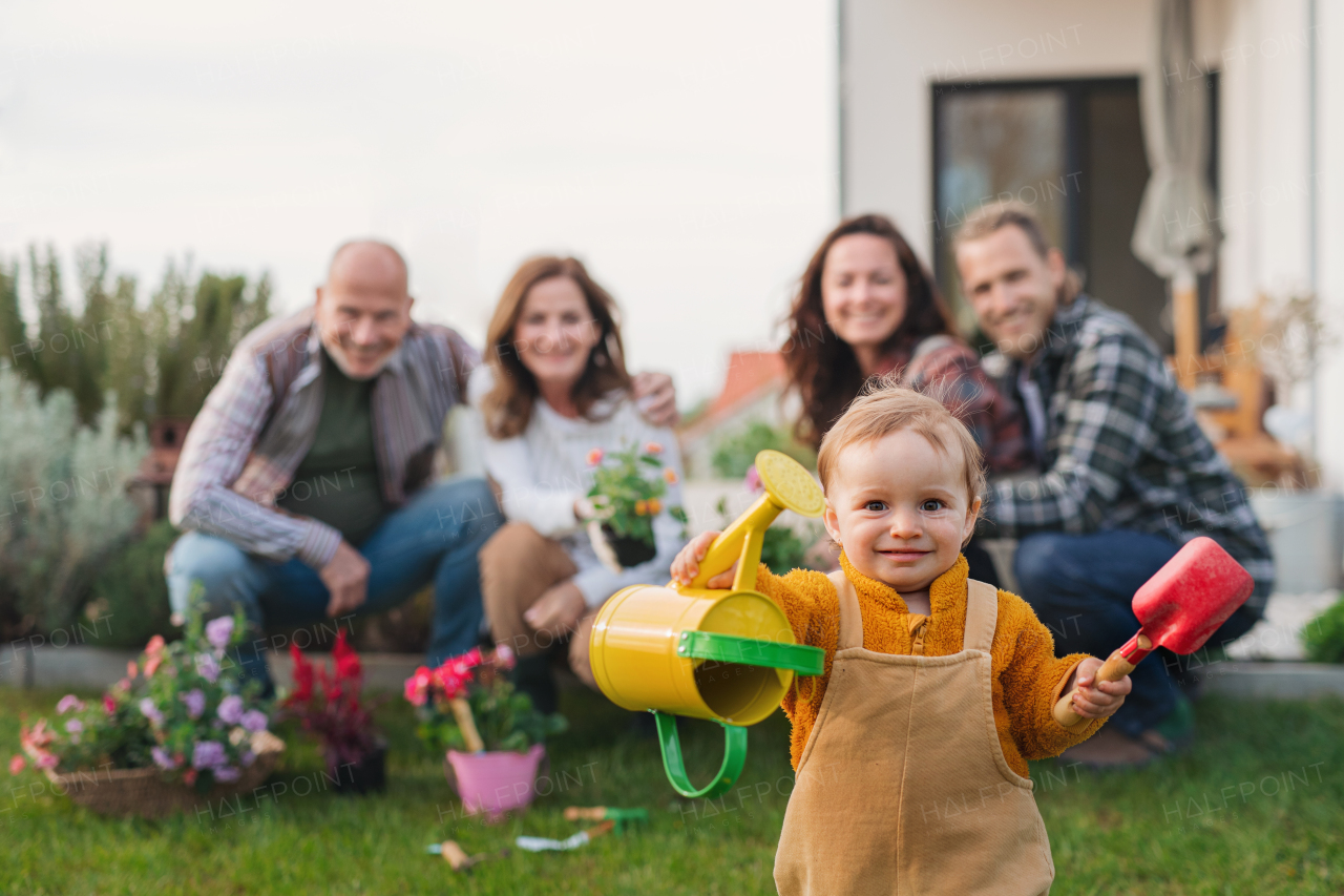 A happy multigeneration family outdoors planting flowers in garden at home, gardening concept.