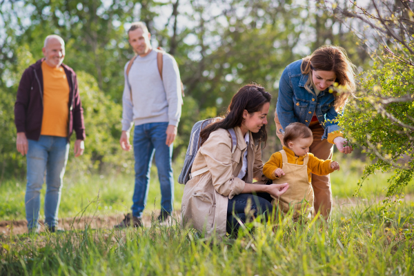 Small toddler with parents and grandparents on a walk outdoors in nature, exploring.