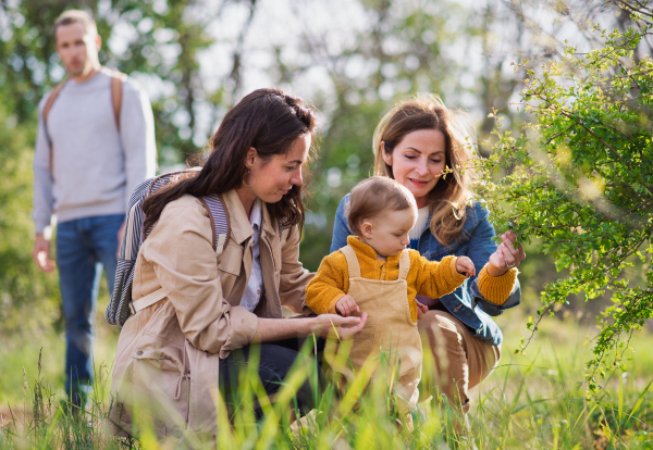 Small toddler with parents and grandparents on a walk outdoors in nature, exploring.