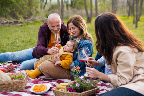 Happy multigeneration family outdoors having picnic in nature, relaxing.