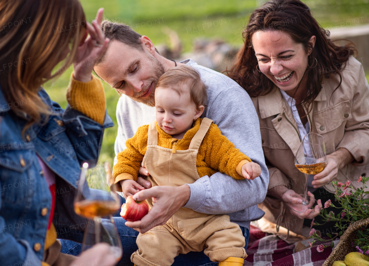 Happy multigeneration family outdoors having picnic in backyard garden, relaxing and laughing.