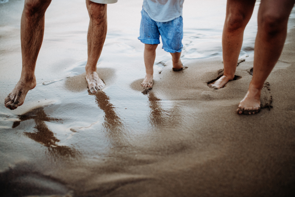 A midsection of parents with toddler daughter standing on beach on summer holiday.