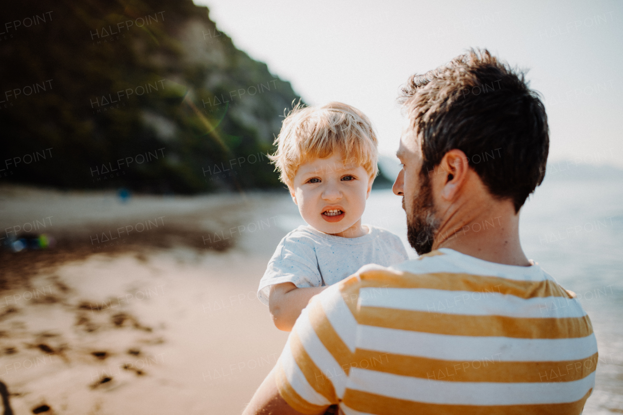 Rear view of father with a toddler boy standing on beach on summer holiday. Copy space.