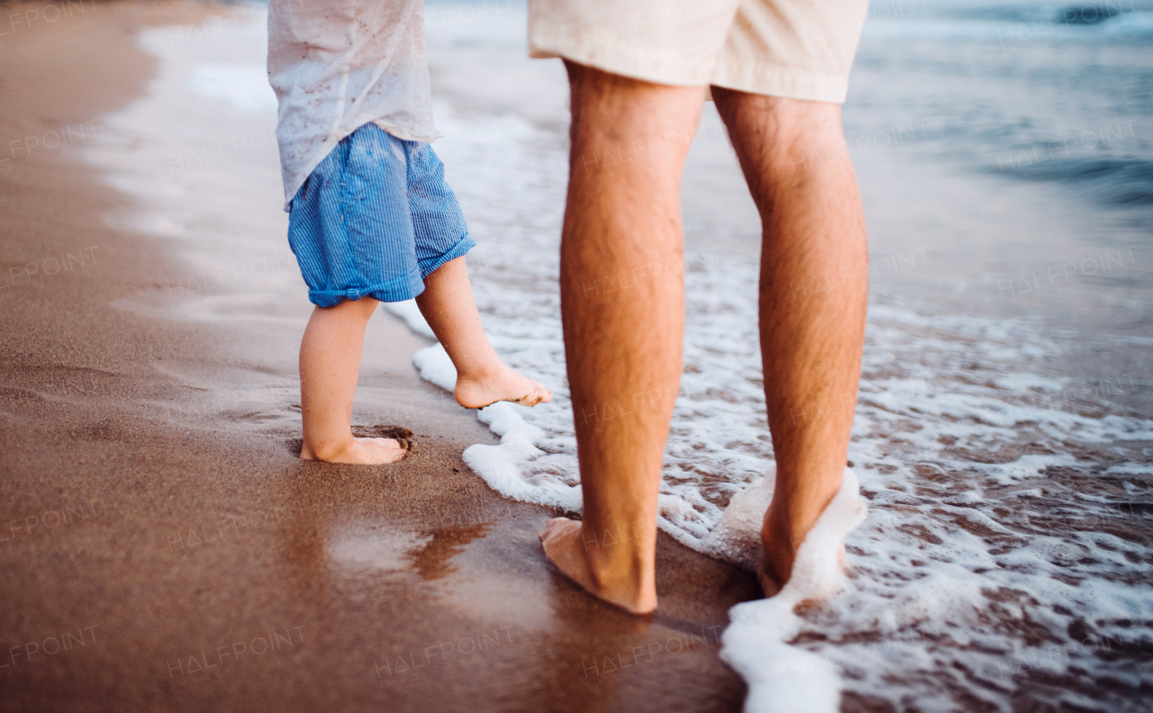 A midsection of father with a toddler boy walking on beach on summer holiday.