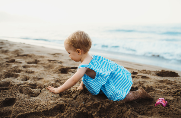 A close-up of small toddler girl crawling on beach on summer holiday, playing. Copy space.