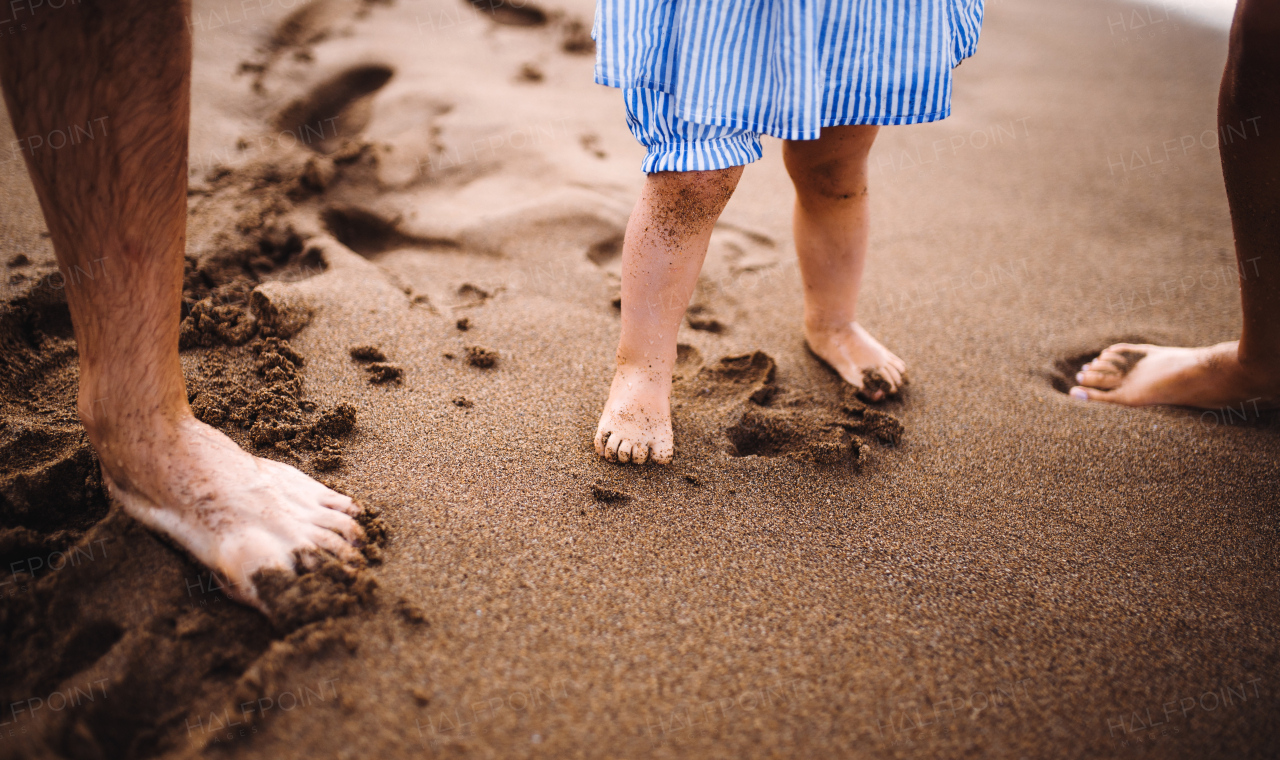 A midsection of parents with toddler daughter standing on beach on summer holiday, holding hands.