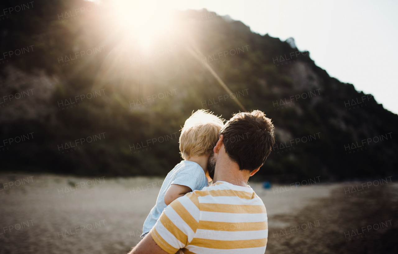 A rear view of father with a toddler boy on beach on summer holiday at sunset.