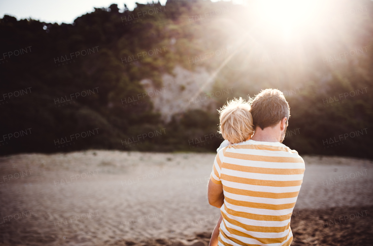 Rear view of father with a toddler boy standing on beach on summer holiday at sunset. Copy space.