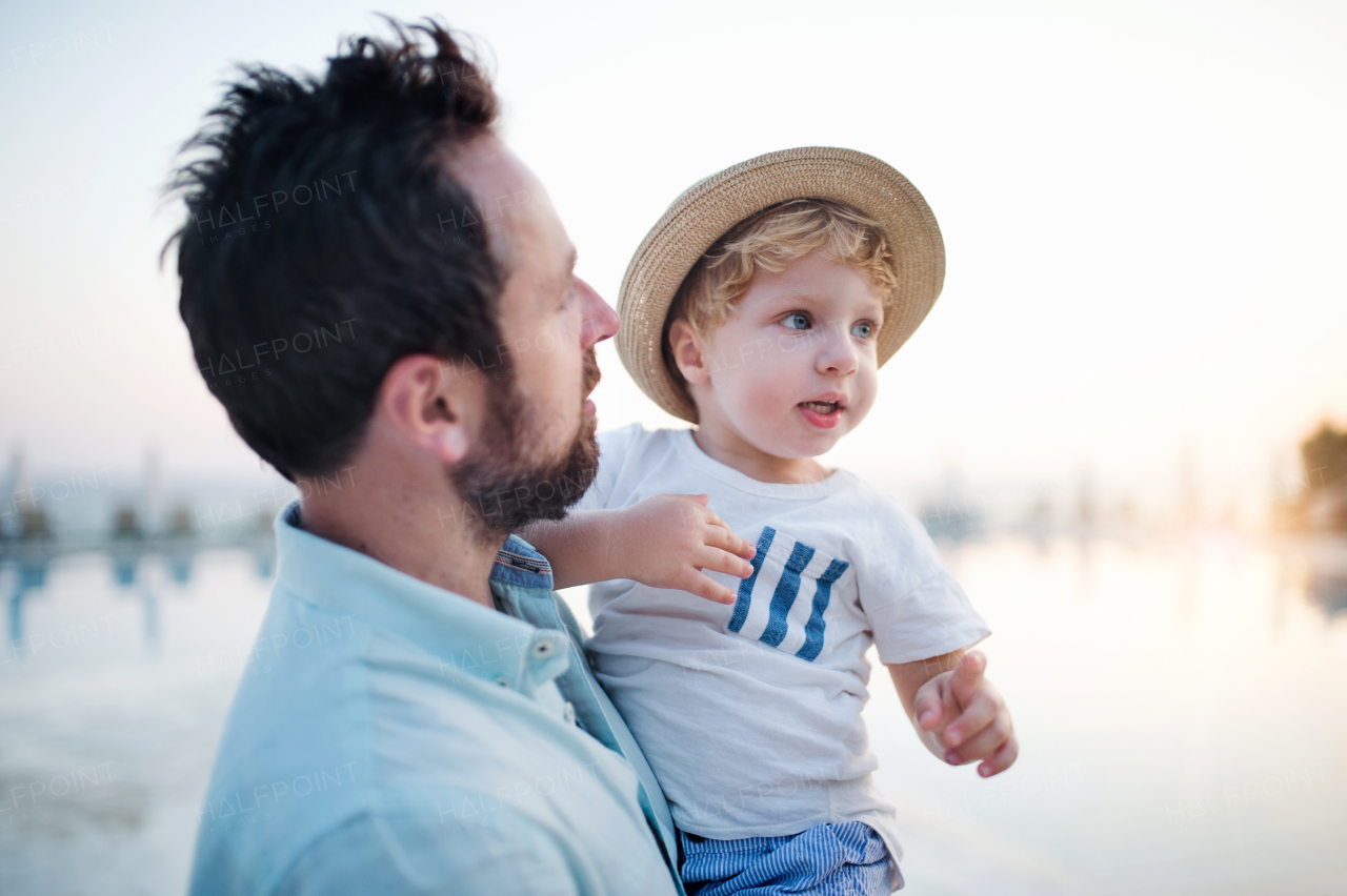 A mature father holding a toddler boy on beach on summer holiday.