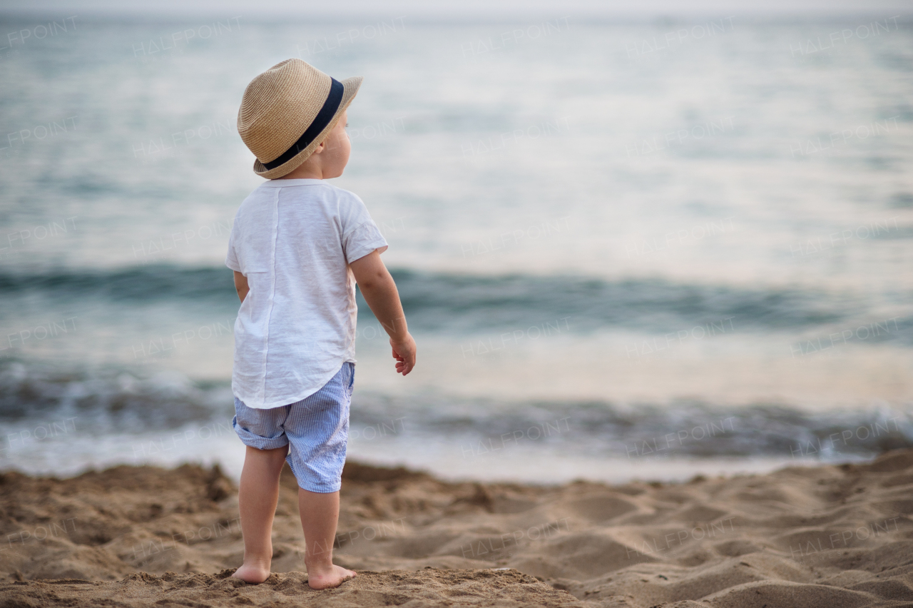 A rear view of small blond toddler boy with hat standing on beach on summer holiday. Copy space.