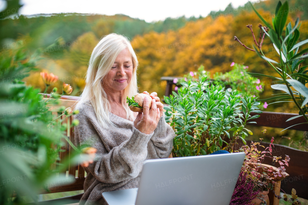 Senior woman with laptop sitting outdoors on terrace, eating healthy lunch.