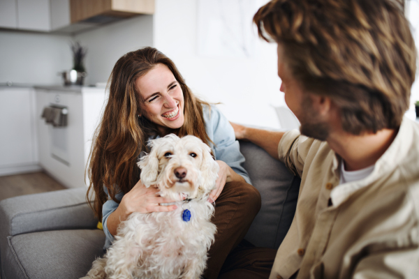 A happy young couple in love with dog sittin on sofa indoors at home, resting.