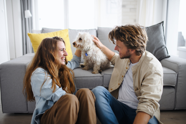 A happy young couple in love with dog indoors at home, resting.