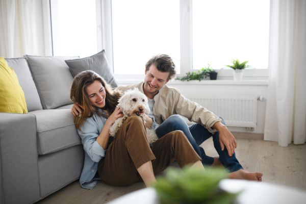 A happy young couple in love with dog indoors at home, resting.