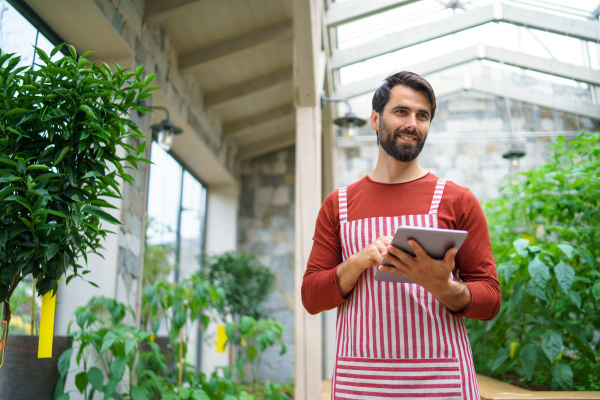 Low angle view of man gardener with tablet standing in greenhouse, working.