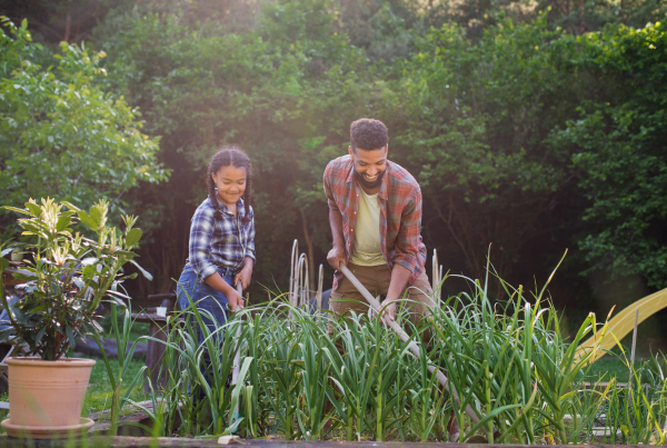 A happy young father with small daughter working outdoors in backyard, gardening concept.