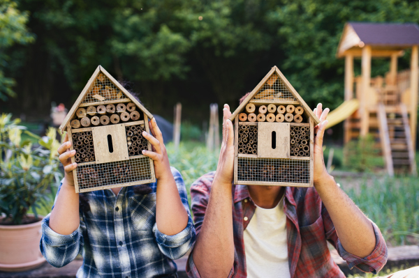 A happy young man and small sister with bug hotel spending time outdoors in backyard, playing.