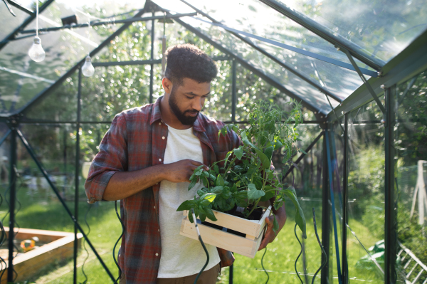 Portrait of happy young man working outdoors in backyard, gardening and greenhouse concept.