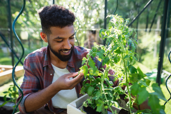 Portrait of happy young man working outdoors in backyard, gardening and greenhouse concept.