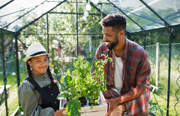 A happy young brother with small sister working outdoors in backyard, gardening and greenhouse concept.