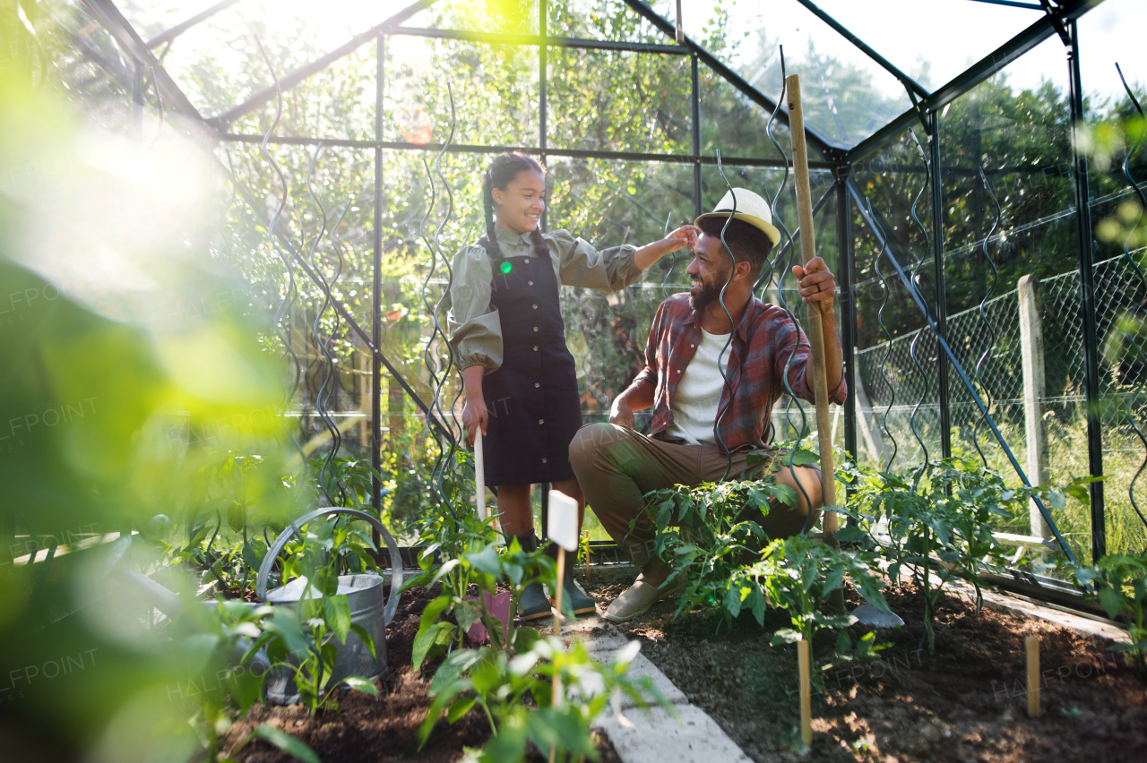 A happy young father with small daughter working outdoors in backyard, gardening and greenhouse concept.