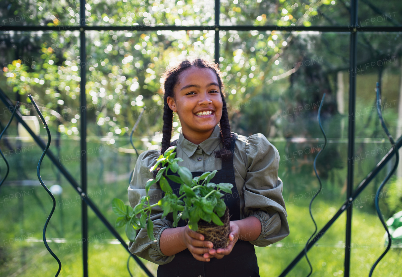 A happy small girl gardening in greenhouse outdoors in backyard, looking at camera.