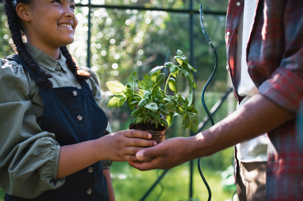 A happy young father with small daughter working outdoors in backyard, gardening and greenhouse concept.