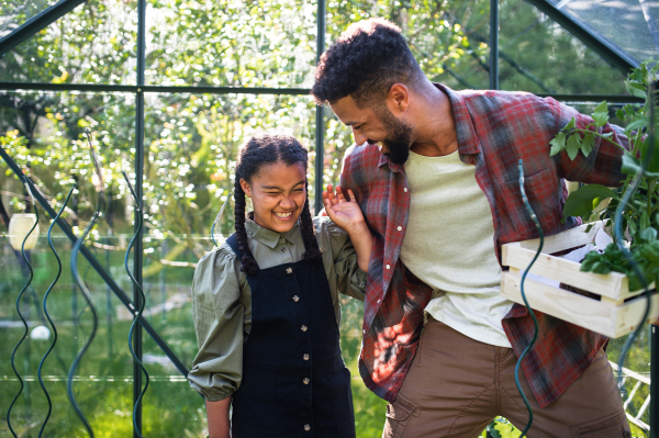 A happy young father with small daughter working outdoors in backyard, gardening and greenhouse concept.